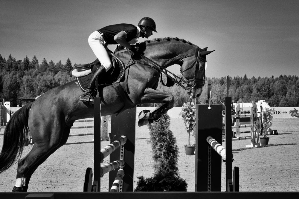 Photograph by v Stark