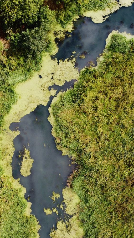 Photograph by Андрей Друцкой