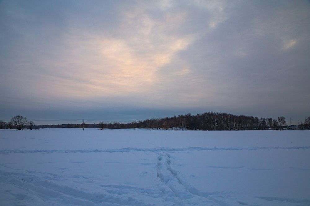 Фотография автора Ольга