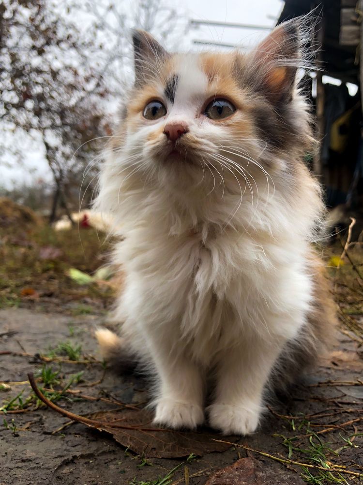 Photograph by Анастасия Волошина