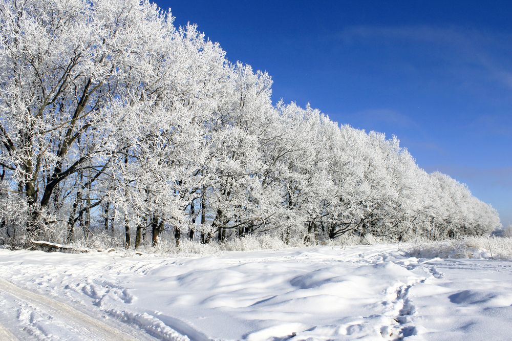 Photograph by Евгений Широких