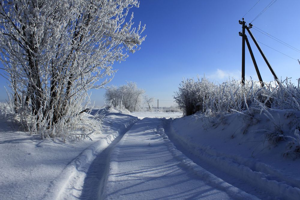 Photograph by Евгений Широких