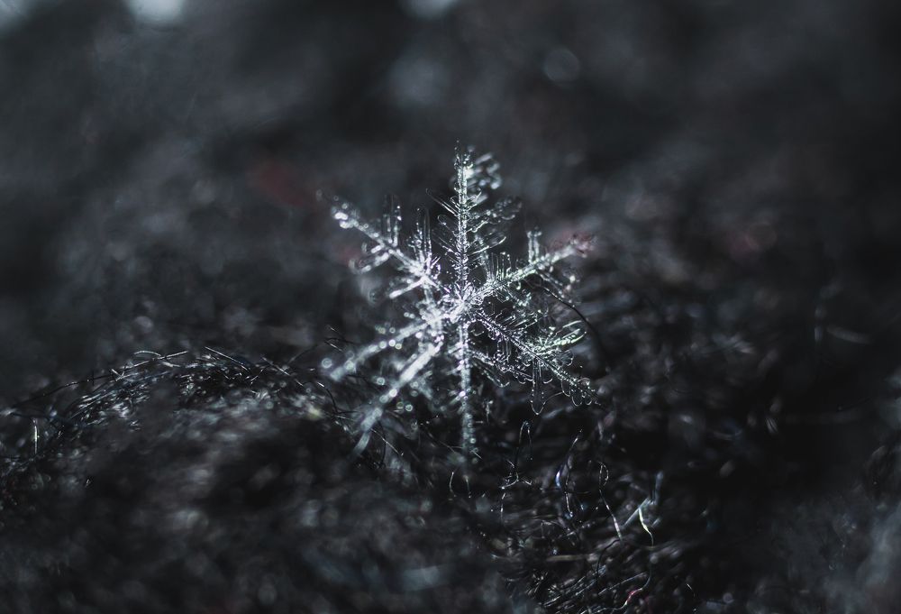 Photograph by Анастасия Киселева