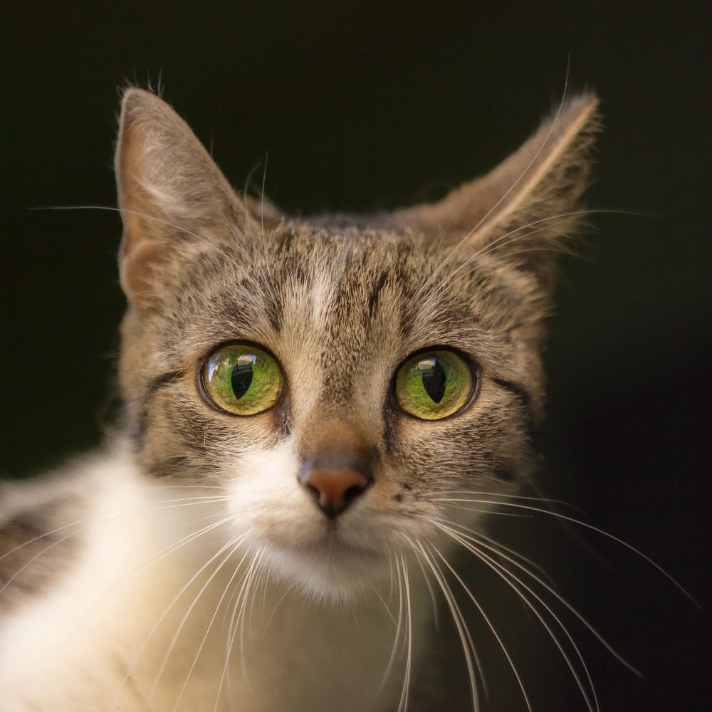 Photograph by Lukas Kulla