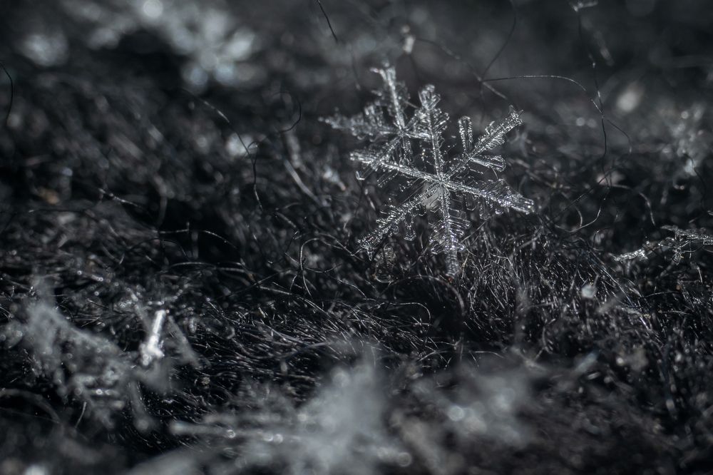 Photograph by Анастасия Киселева