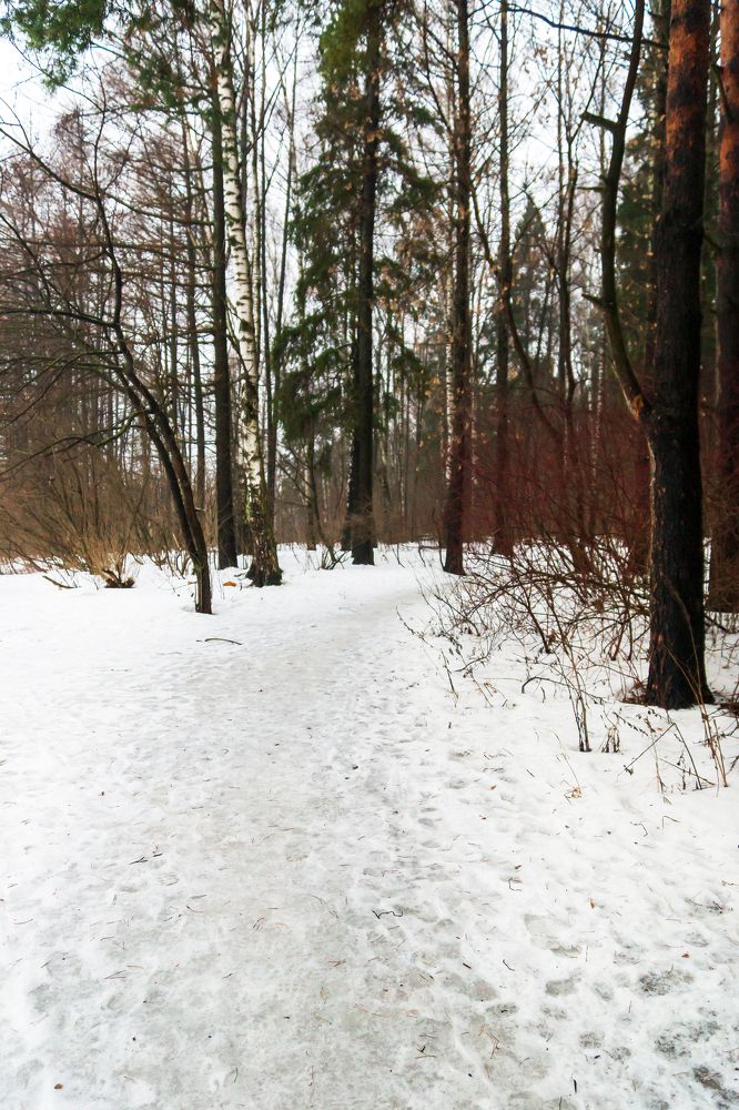 Photograph by Любовь Дворникова