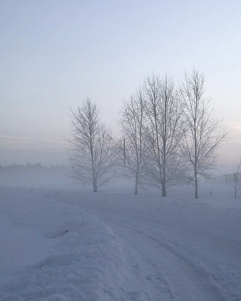 Photograph by Лариса Акинчиц