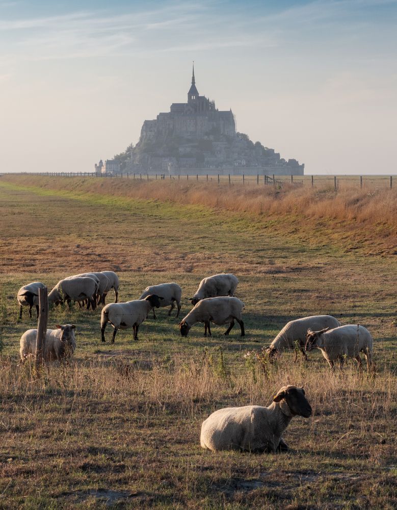 Photograph by Эрнест Вахеди