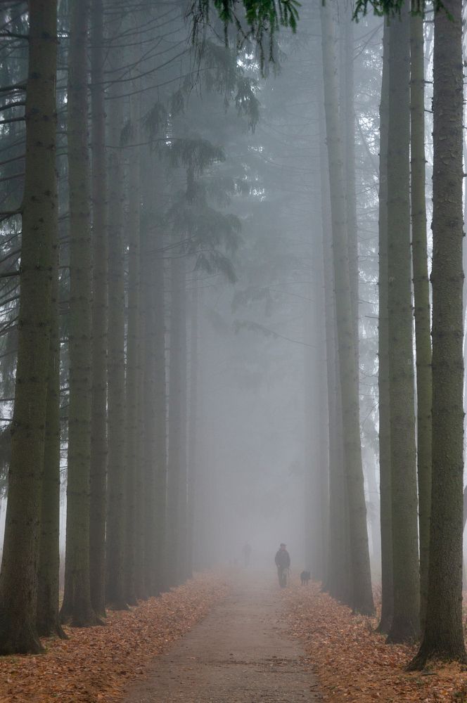 Photograph by Ирина Вершинина