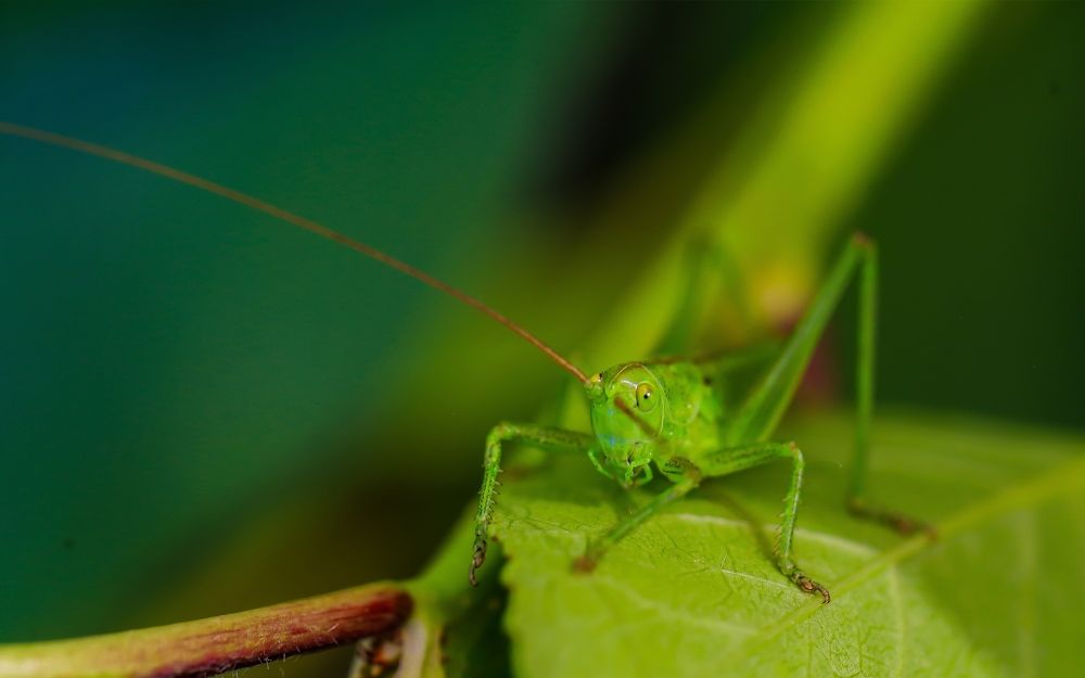 Photograph by Карен Мкртчяан