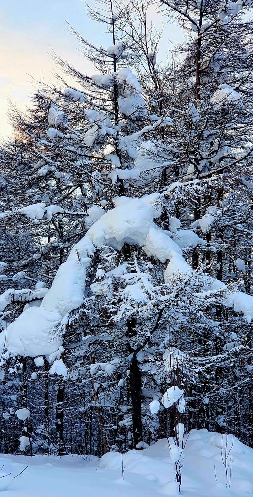 Photograph by Наталья Налобина
