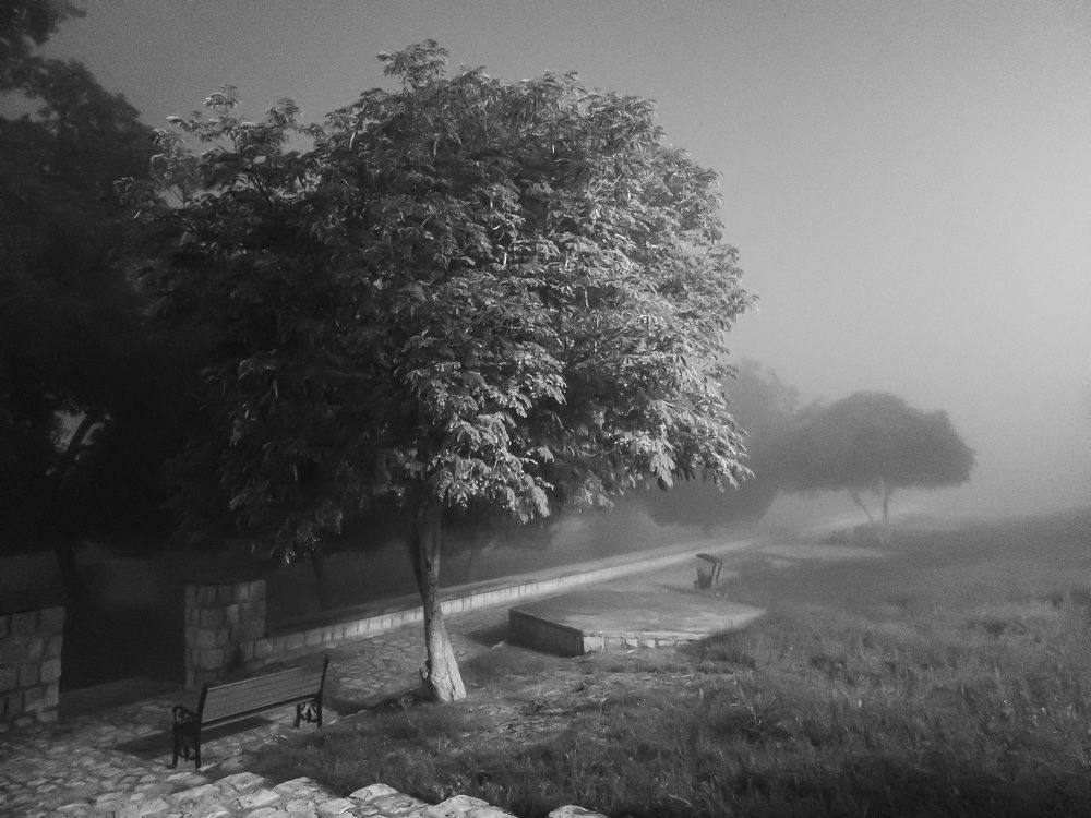 Photograph by AryoBarzan Garmsiri