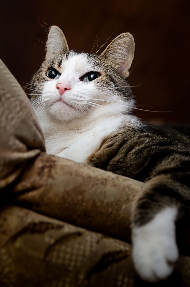 Photograph by Грязев Сергей