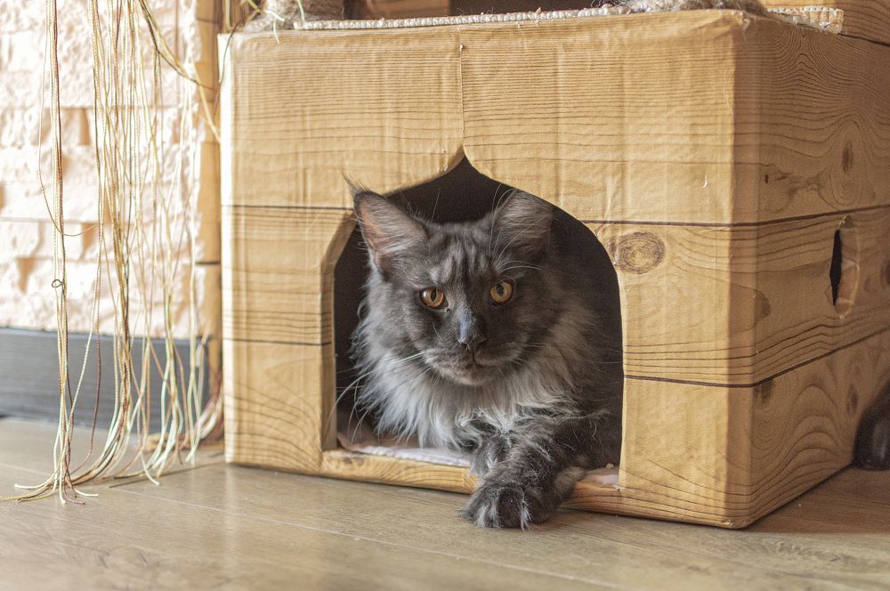 Photograph by Светлана Мельник