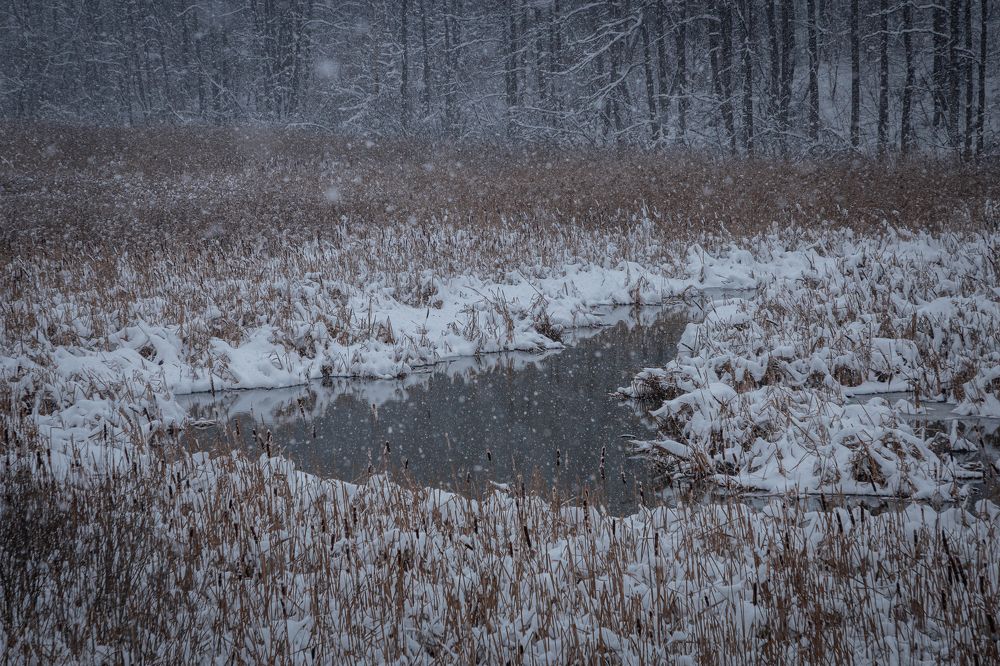 Фотография автора Ольга