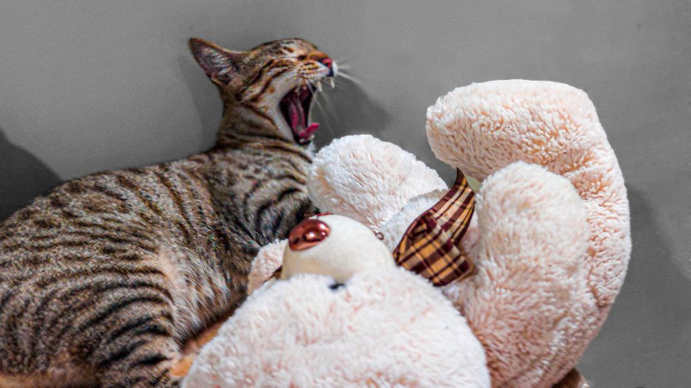 Photograph by Yulian Mr