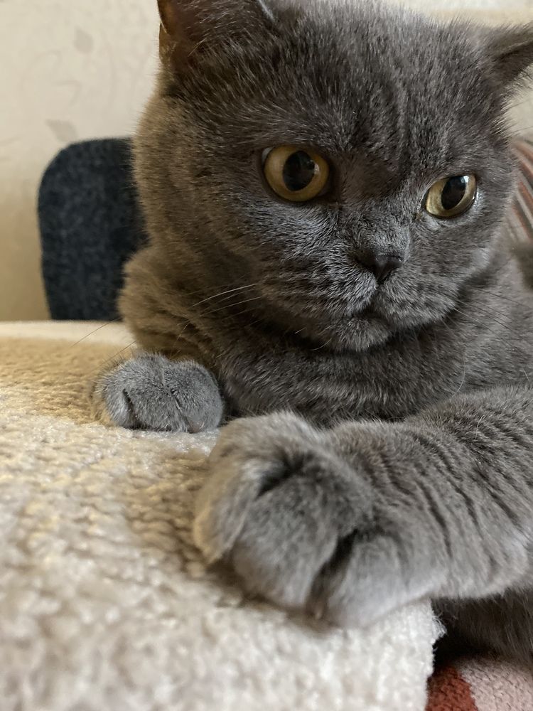 Photograph by Вера Романова