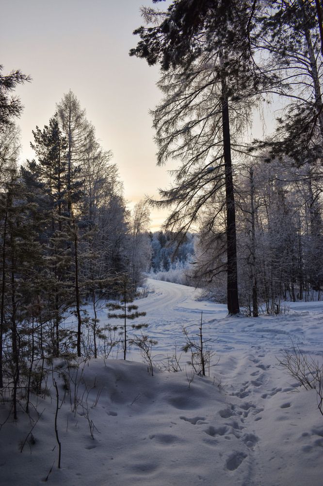 Photograph by Валерия Бебенина