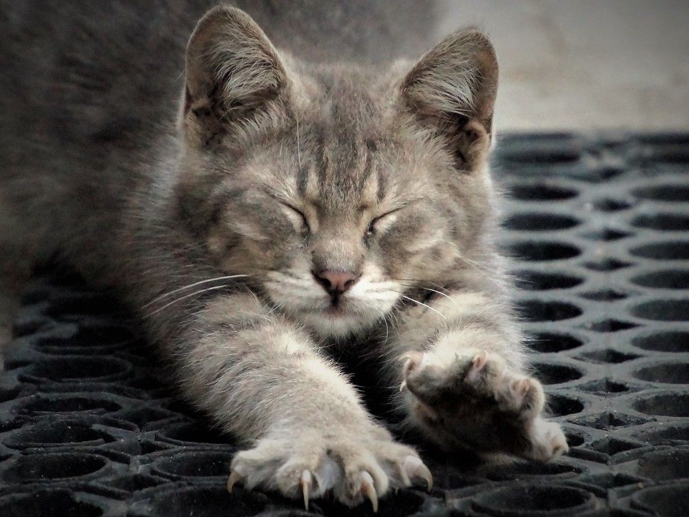 Photograph by Chrysanthopoulos Carmen Sorina