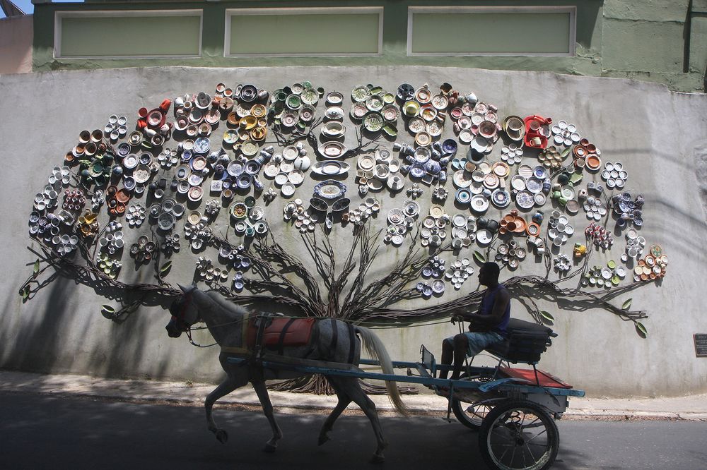 Photograph by Euler Peixoto