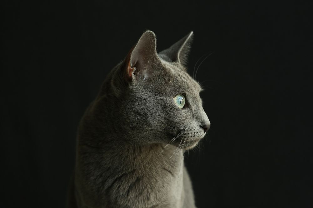 Photograph by Нина Колесова