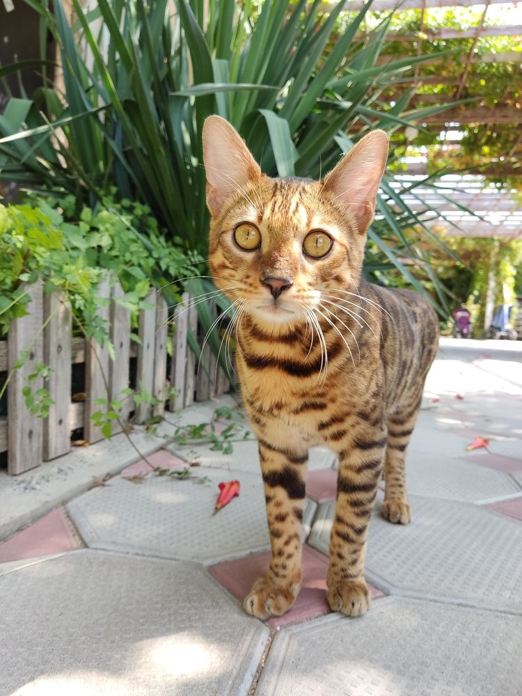 Photograph by Иван