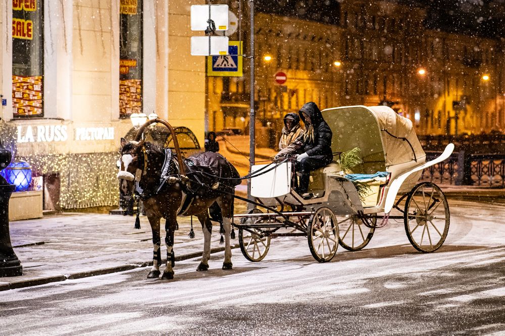 Photograph by Евгений Моляшов