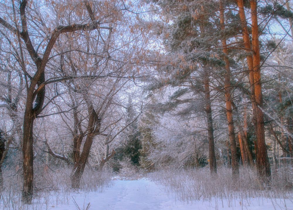 Photograph by Щербакова Юлия