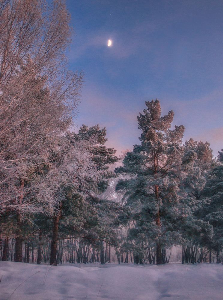 Photograph by Щербакова Юлия