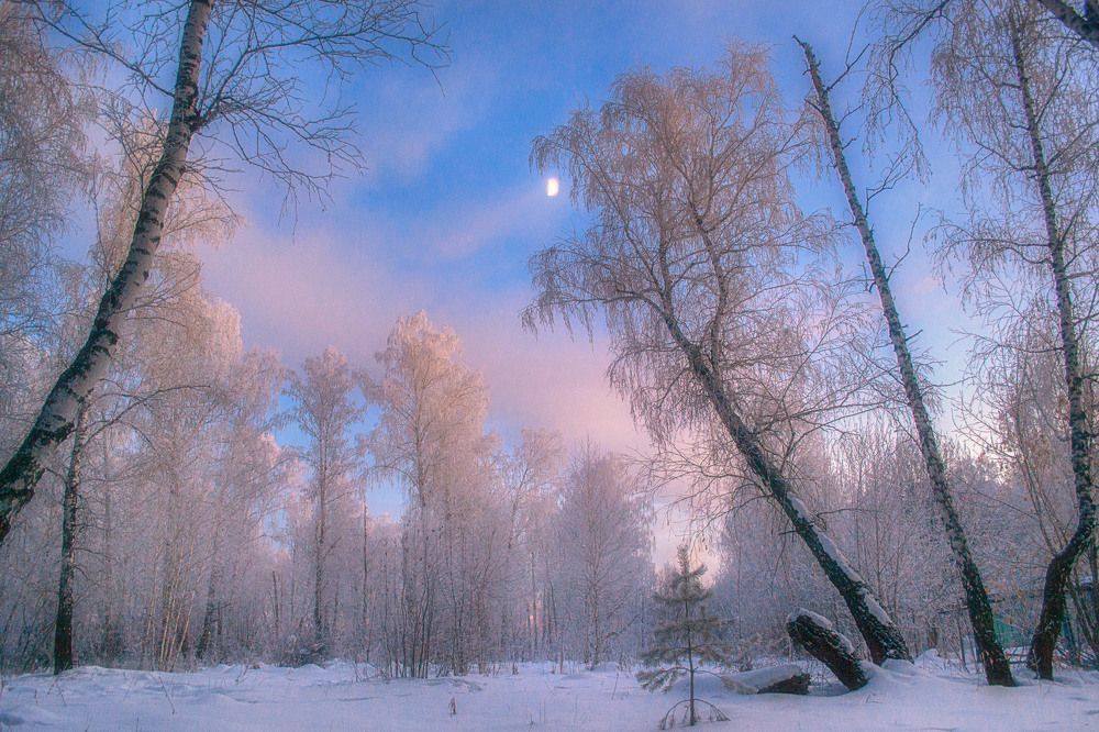 Photograph by Щербакова Юлия