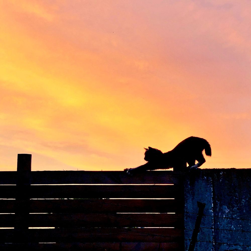 Photograph by Карина Александрова