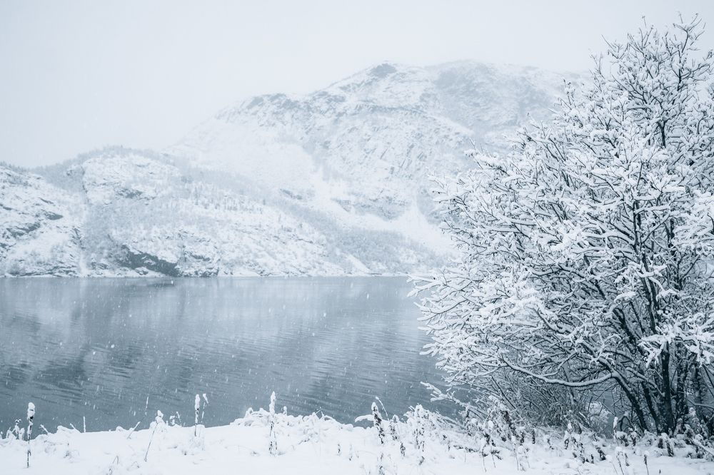 Фотография автора Андрей Русских