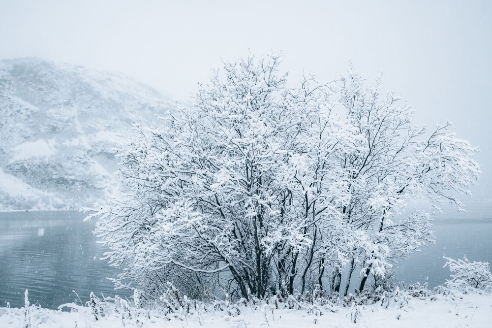 Фотография автора Андрей Русских