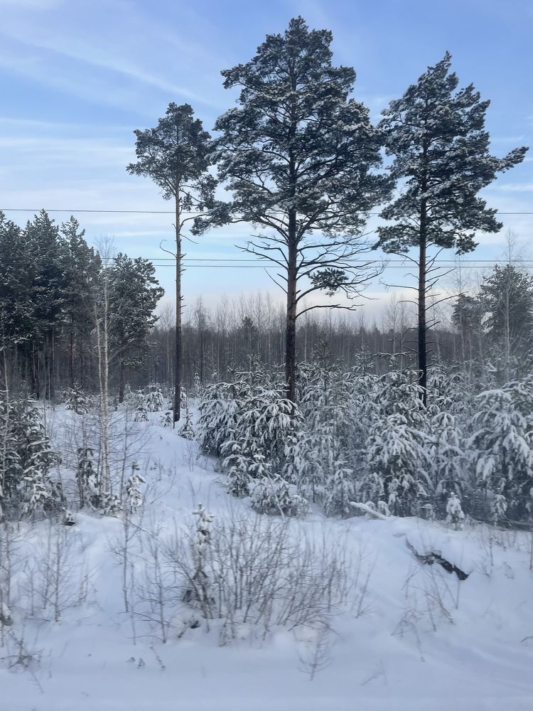 Photograph by Ольга Беспалько