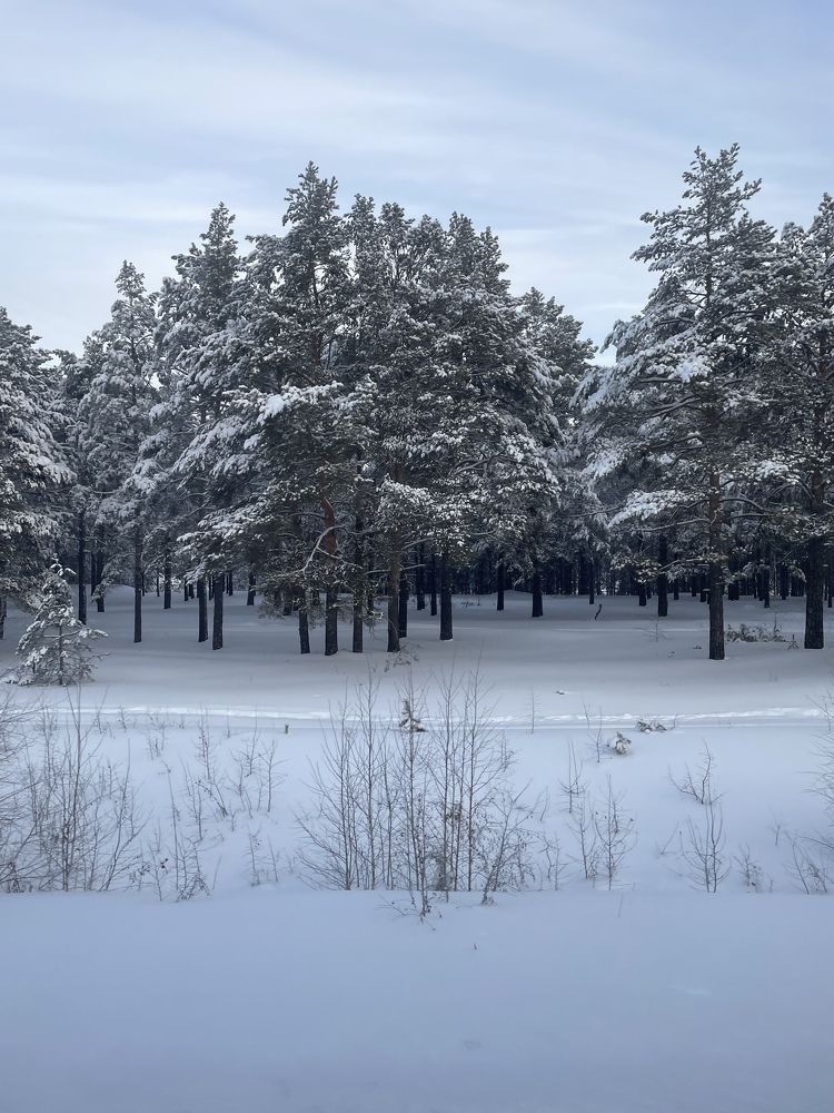 Photograph by Ольга Беспалько