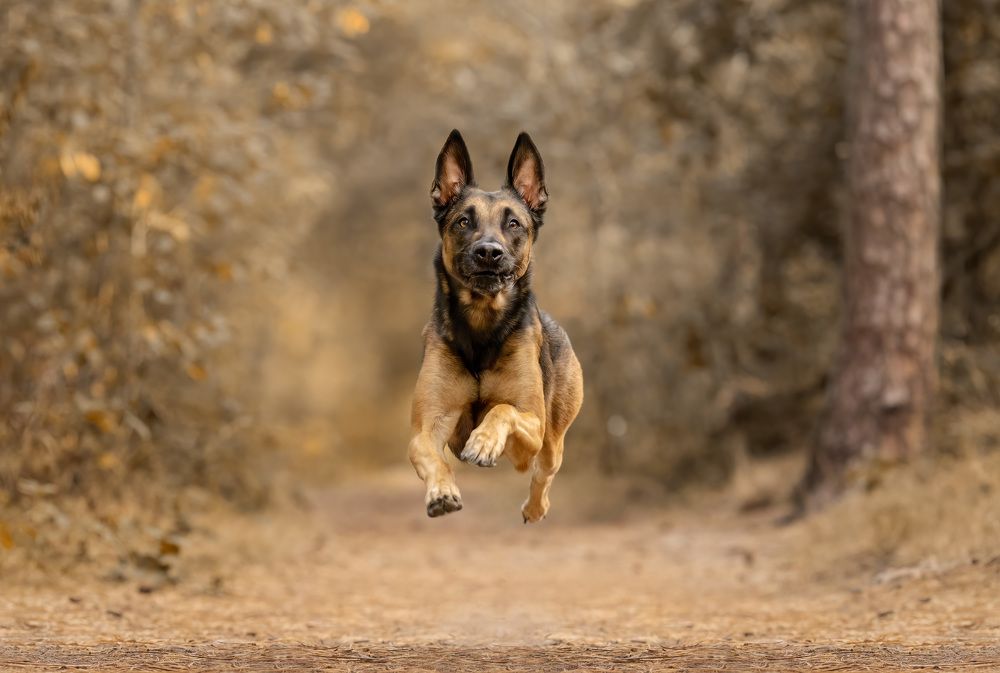 Photograph by Yong Lei van Barlingen