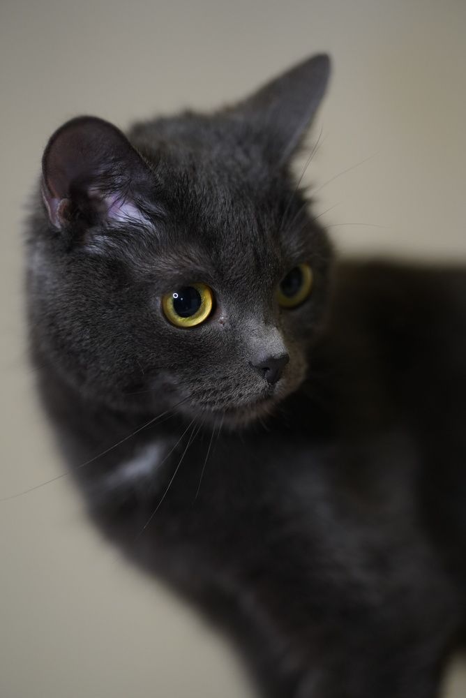 Photograph by Ольга Беспалько