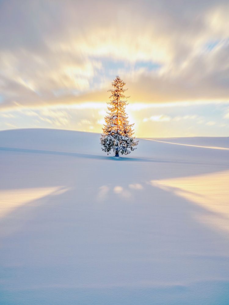 Photograph by Phùng Minh Long