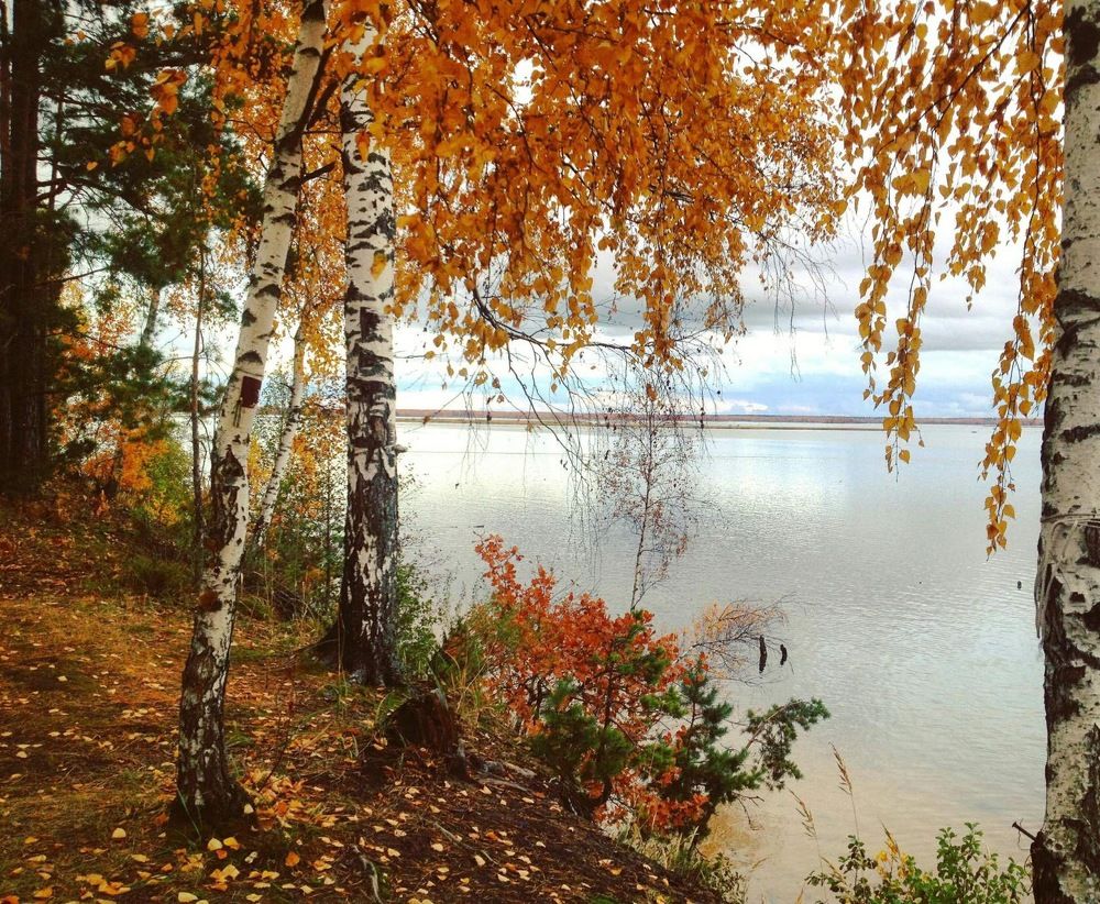 Photograph by Анастасия Самигуллина