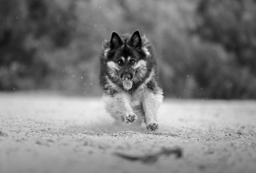 Photograph by Yong Lei van Barlingen