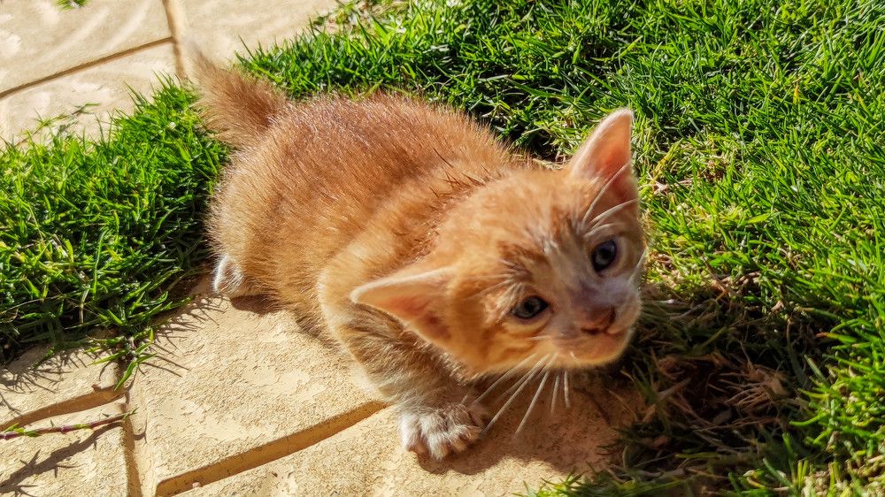 Photograph by Yulian Mr