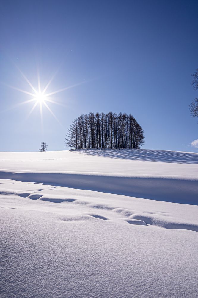 Photograph by Phùng Minh Long