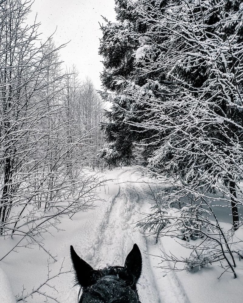 Photograph by Elena Novikova