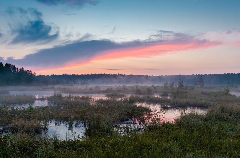Photograph by Александр Степанов