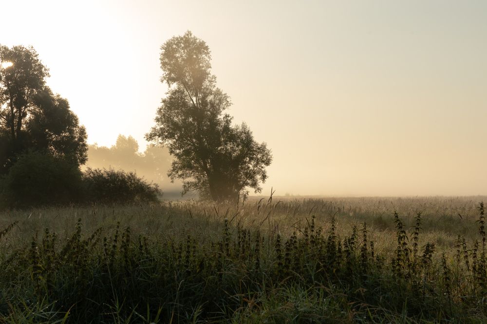 Photograph by Александр Степанов