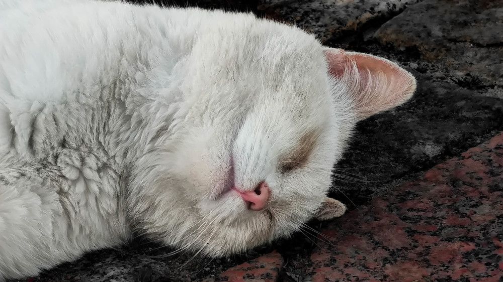 Photograph by Yulian Mr