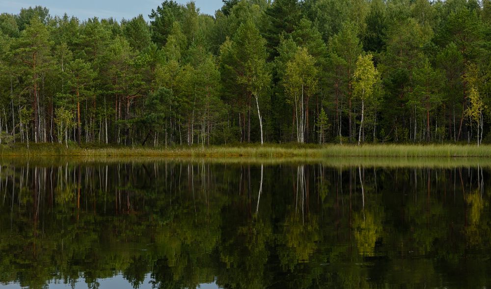 Photograph by Александр Степанов