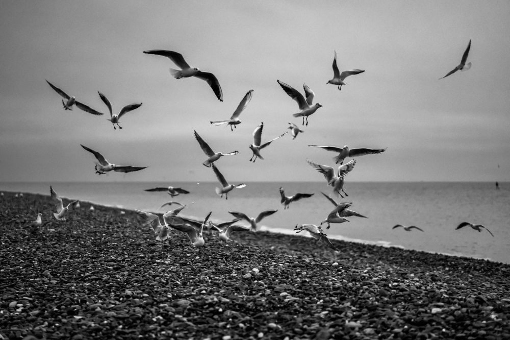 Photograph by Алексей Шевченко