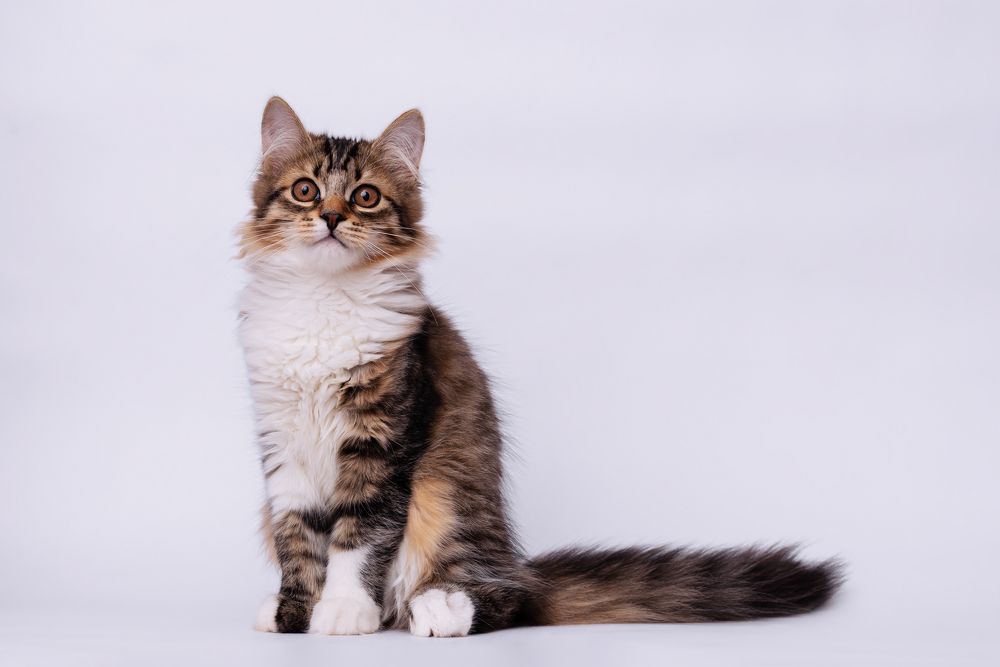 Photograph by Мария Жданова