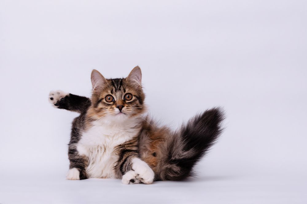 Photograph by Мария Жданова